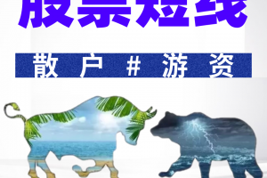 毛毛老师游资短线复利增长游资短线溢价术视频课