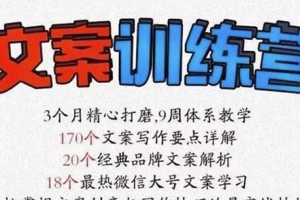 龙小天《文案训练营》全面系统解决文案写作难题