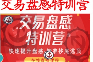 无为战法之《交易盘感特训营》237期