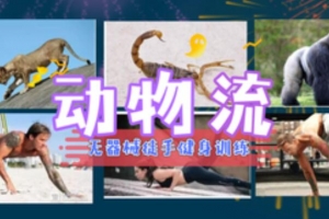 风靡欧美无器械健身，居家功能训练-【动物流】