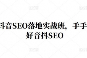 王通·抖音SEO落地实战班，手‬手带你做好抖音‬‬SEO