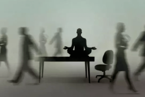 胡婷婷 罗伯.费希尔 一年正念训练 咨询师如何进行自我成长？专业咨询技能提升