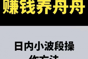 赚钱养舟舟 日内小波段操作方法 期货课程