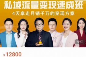 桔子会私域流量变现速成班
