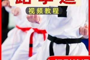 跆拳道教学课程合集