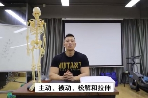 全身肌群——主动被动松解拉伸