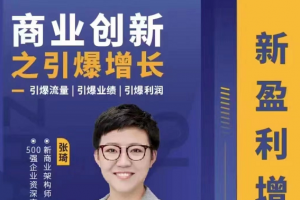 张琦商业创新之引爆利润增长,引爆流量|引爆业绩|引爆利润