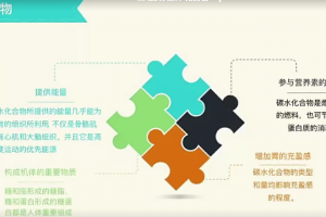 科学减脂——饮食调控篇
