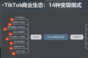 刘博老师的TikTok实操运营课