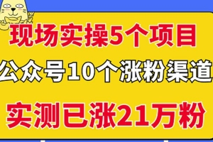实操5个公众号项目，10个涨粉渠道，实测已涨21万粉！