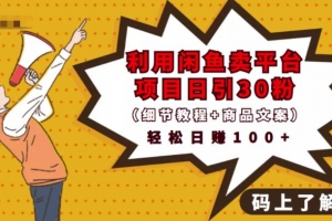 利用闲鱼平台卖项目课程日引流30+精准粉丝，轻松日赚100+