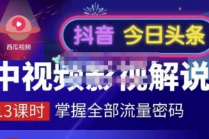 嚴如意中视频影视解说掌握流量密码