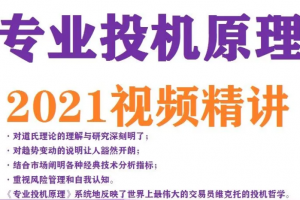 专业投机原理 视频精讲