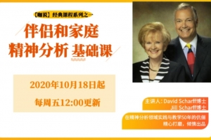 【咖说】经典课 Scharff夫妇 伴侣和家庭精神分析基础课 视频课