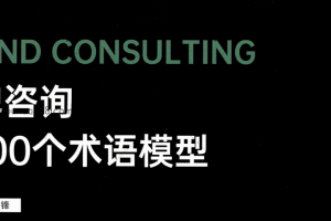 品牌咨询的100个术语模式