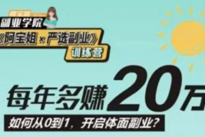 阿宝姐严选副业PLUS版，从0到1开启高薪体面副业