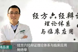 鲍艳举-经方六经辨证理论体系与临床应用（我的经方之路）