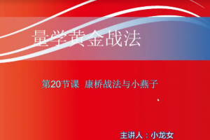 【小龙女】量学大讲堂-聂金群《量学黄金战法》第二期