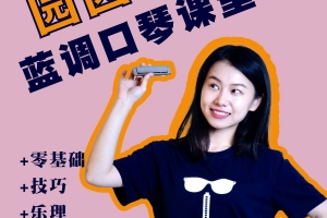 抖音同款 园园老师蓝调口琴课堂（零基础）