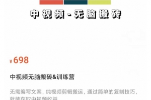 中视频无脑搬砖&训练营，纯视频剪辑搬运，轻松上手批量起号，工作室可放大