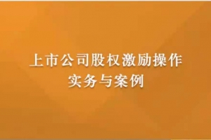上市公司股权激励操作实务与案例