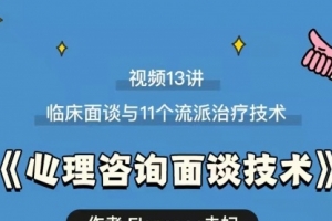 心理咨询面谈技术课 理论讲授+案例实录+解释点评视频