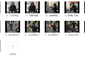 【健身健美】廖剑锋手臂训练教学视频