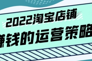 震宇老师·2022年淘宝店铺赚钱的运营策略，全店动销策略