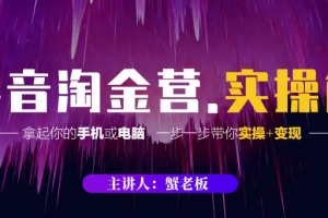 蟹老板·22年最新中视频变现系统课程