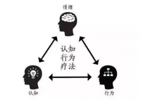 焦虑障碍的认知行为策略疗法 美国焦虑症协会前主席亲授【视频27讲】