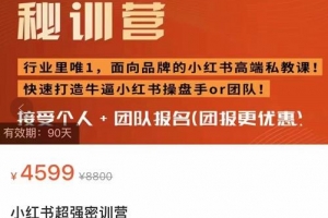 小红书超强秘训营，爆文制造技巧，低预算高roi投放技巧，内容营销思维