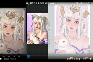 阿花综合班第八期ipad插画课2022年7月结课【画质不错有笔刷】