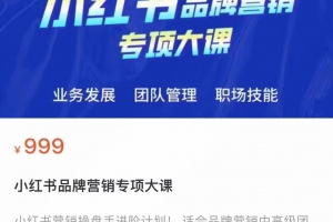小红书品牌营销专项大课