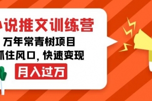 小说推文&训练营