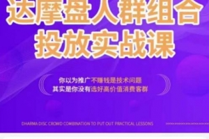 阿呆电商·达摩盘人群组合投放实战课