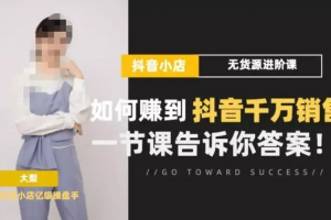 梨子会·抖店无货源进阶冲刺课，如何赚到抖音千万销售，这套课程会告诉你答案
