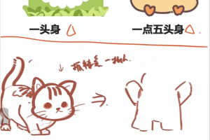 豆子老师2022萌新也能画人物之Q版豆豆人ipad插画课