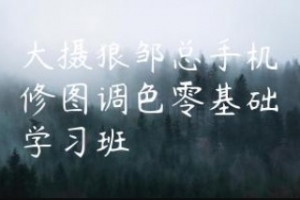 大摄狼邹总手机修图调色零基础学习班