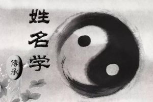 鼎迦《姓名学》33集