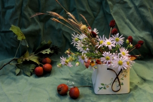 手机摄影技巧-宅在家里用手机拍出高级感静物照片