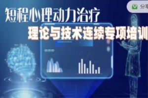 「国合基地」Anne Mckay 短程心理动力治疗理论与技术连续专项培训 8次讲座不含督导