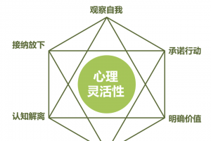 ACT疗法实录与访谈（创始人亲授）