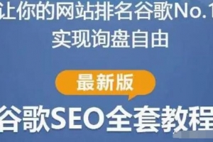 谷歌SEO实战教程：谷歌排名第一秘籍，内容从入门到高阶，适合个人及团队