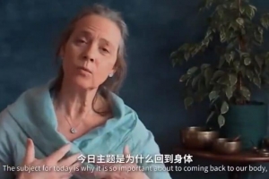 【乔·哈蒂导师亲授】身体智慧之线上舞动疗愈营：舞动带领 x 视频17讲