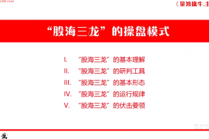 量学云讲堂刘智辉《量学识庄·伏击涨停》40期 量波段位课七段