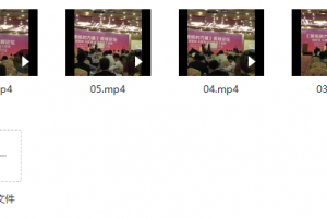 周文强《系统的力量》高峰论坛（7集现场视频）