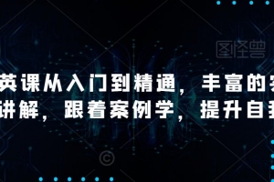 AI精英课从入门到精通，丰富的实战案例讲解，跟着案例学，提升自我