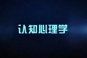 认知心理学（视频 14课）