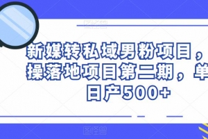 新媒转私域男粉项目，实操落地项目第二期，单号日产500+