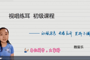 魏留乐视唱练耳初级课程